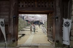 24-Entrance Matsuyama Castle